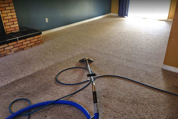 Routine Carpet Cleaning Services