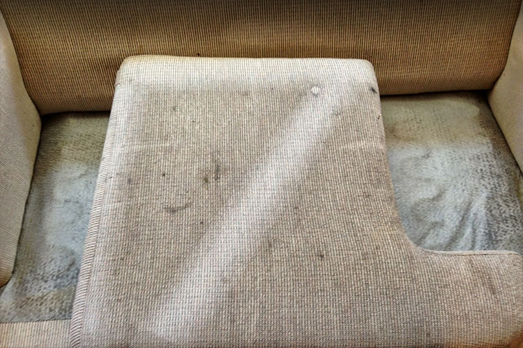 Residential & Commercial Upholstery Cleaning Services